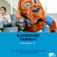 Bloodhound Thursday