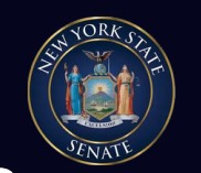 NYS Senate